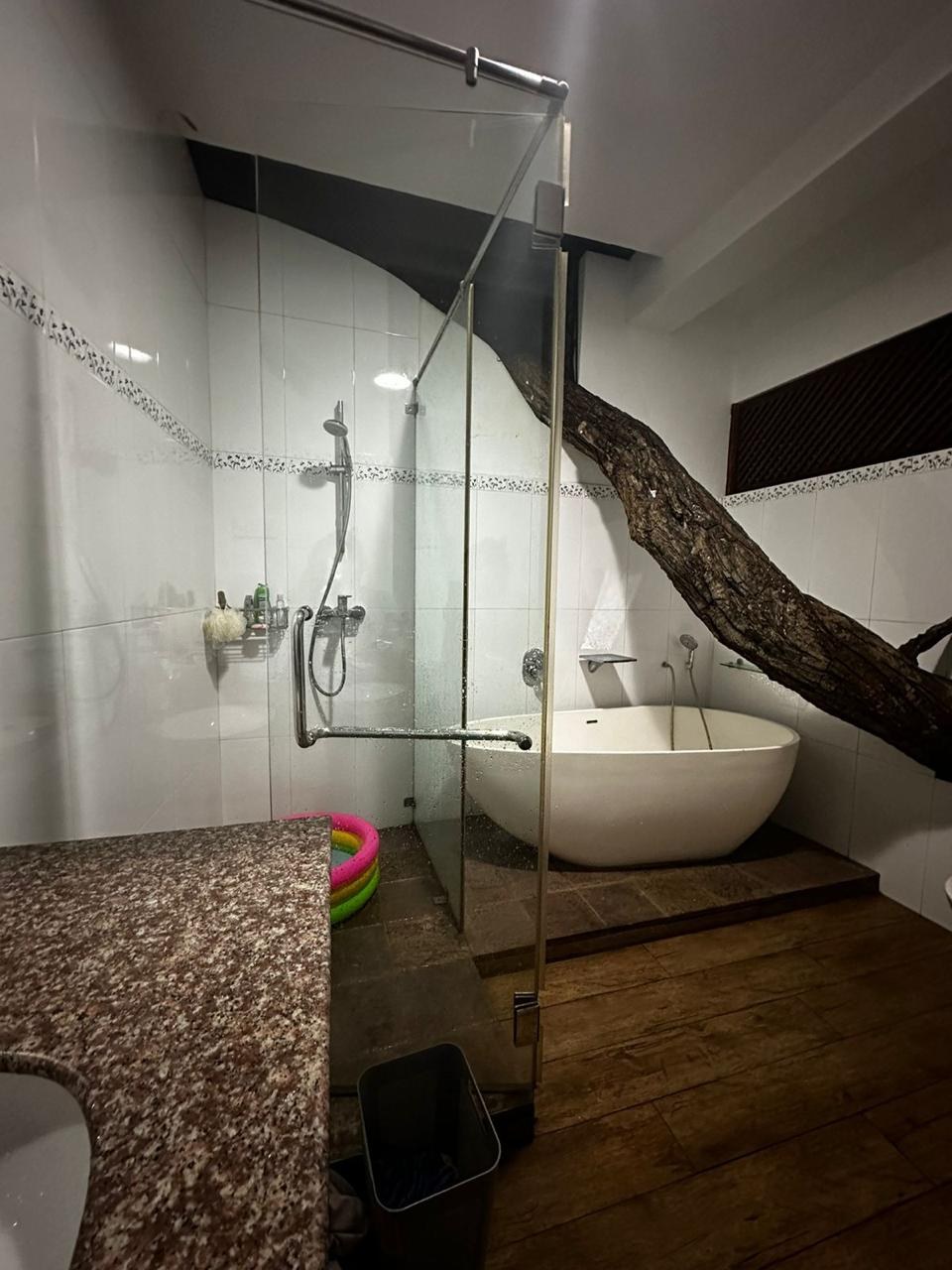 Luxury Tree House for Sale – Nugegoda 🌳✨