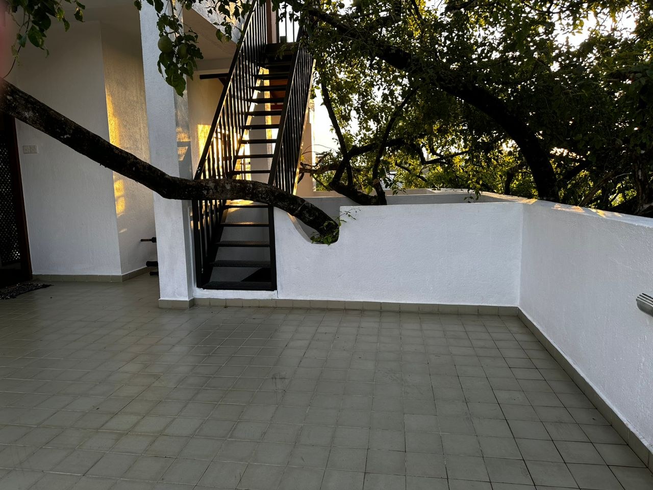 Luxury Tree House for Sale – Nugegoda 🌳✨