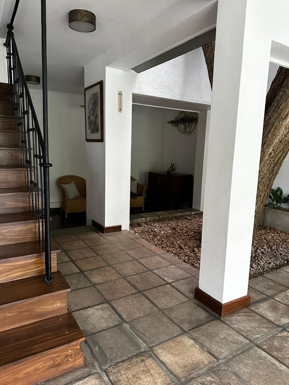 Luxury Tree House for Sale – Nugegoda 🌳✨